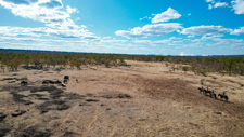 Zimbabwe-Victoria Falls-Zambezi Riding Safari